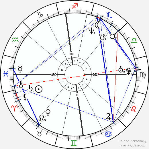 Michel Hazanavicius wikipedie wiki 2023, 2024 horoskop