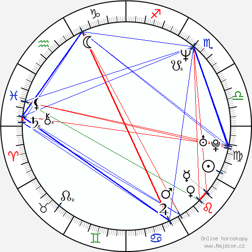 Robert Oey wikipedie wiki 2023, 2024 horoskop