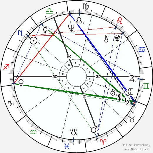 Rudy Schlesinger wikipedie wiki 2023, 2024 horoskop