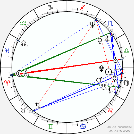Sandi Simcha Dubowski wikipedie wiki 2023, 2024 horoskop