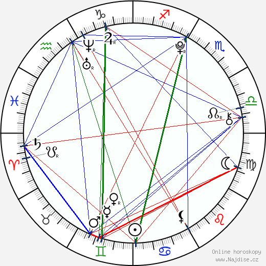 Skyler Gisondo wikipedie wiki 2023, 2024 horoskop
