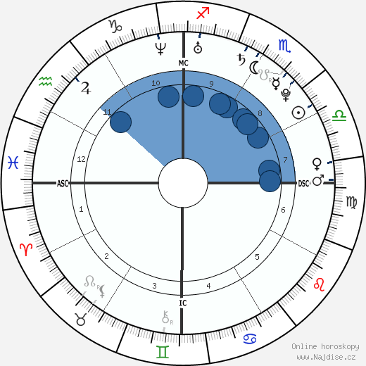 Casey Stoner wikipedie, horoscope, astrology, instagram