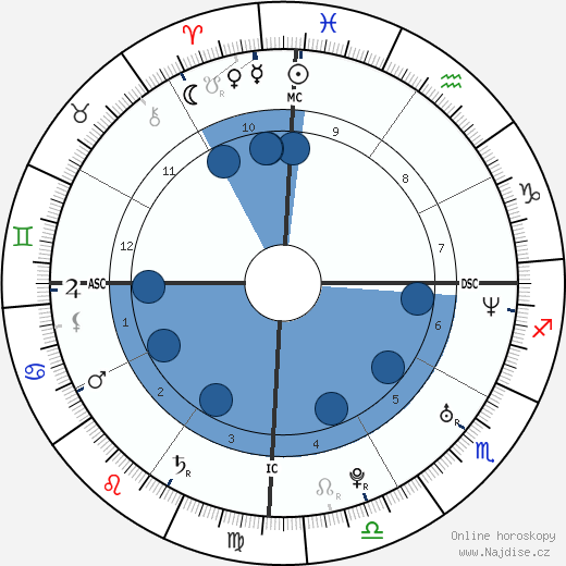 Didier Drogba wikipedie, horoscope, astrology, instagram