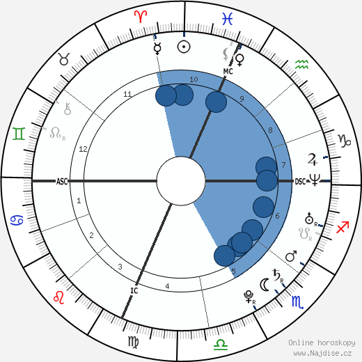 Fernando Torres wikipedie, horoscope, astrology, instagram