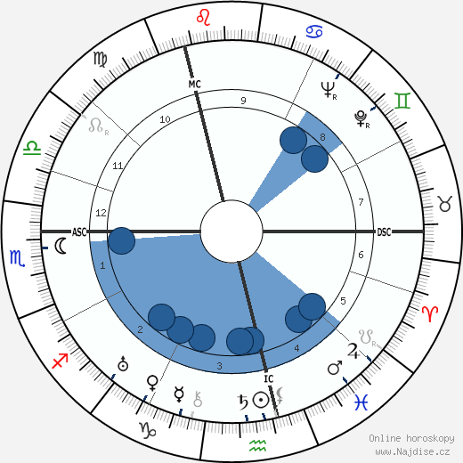 Hendrik Timmer wikipedie, horoscope, astrology, instagram
