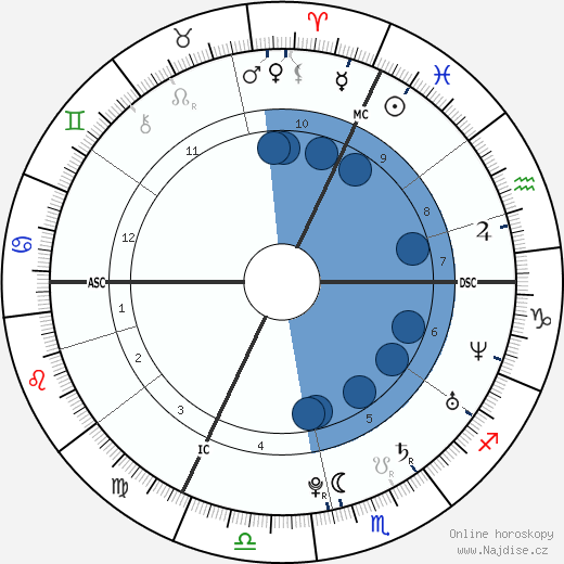 Lassana Diarra wikipedie, horoscope, astrology, instagram