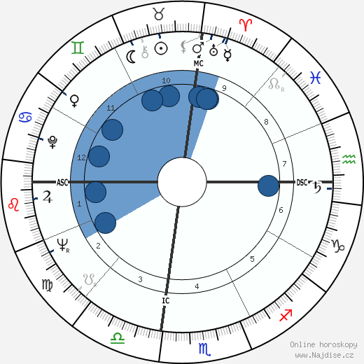Martin Sousa wikipedie, horoscope, astrology, instagram
