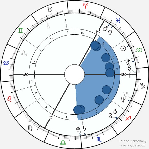 Rafael van der Vaart wikipedie, horoscope, astrology, instagram