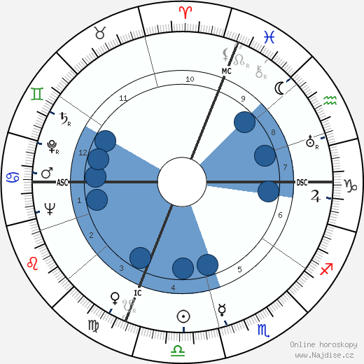 Remy Chauvin wikipedie, horoscope, astrology, instagram